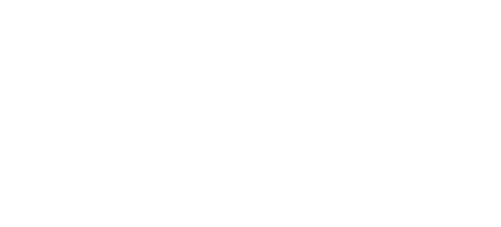 DENON_Logo_White