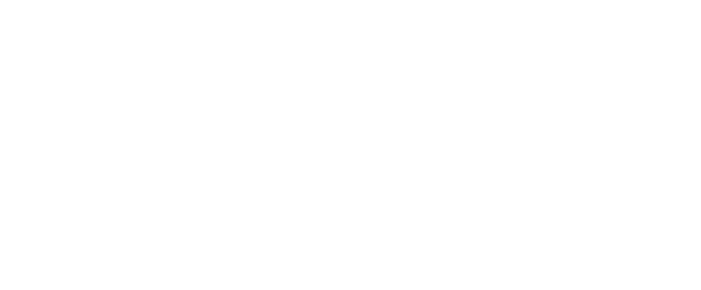 WaterfallAudio_Logotype_without_register_White_2021