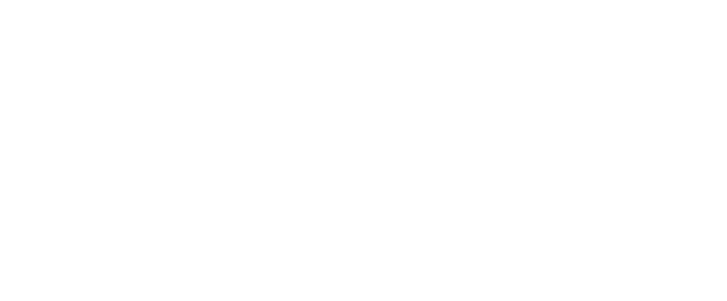 WaterfallAudio_Logotype_without_register_White_2021